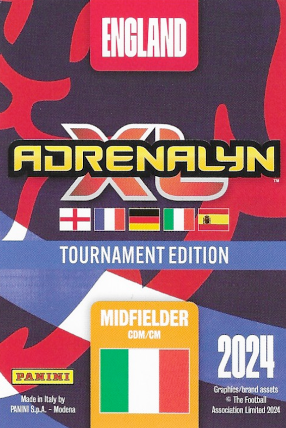 Jorginho  Experienced Pro Card Number 256 - Adrenalyn XL England 2024 Tournament Edition